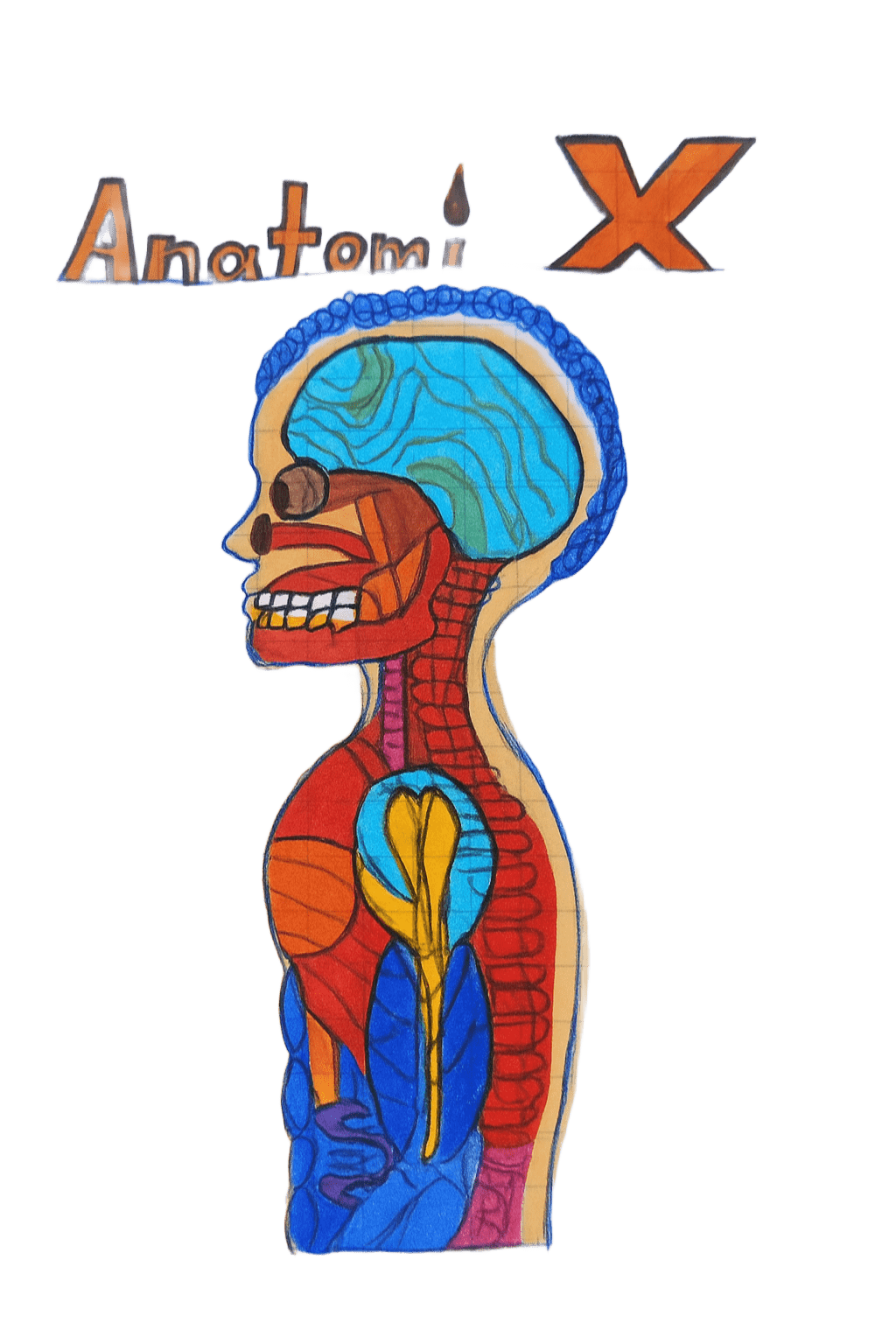 ANATOMIX Logo